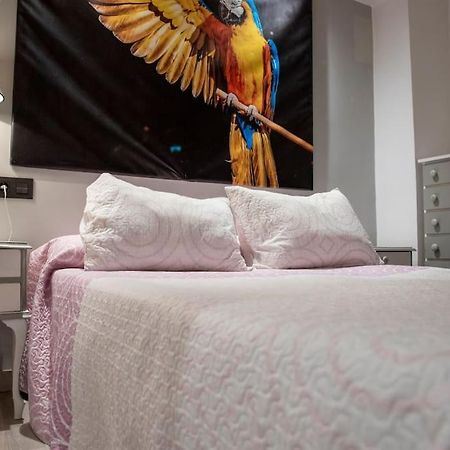 Apartamento Ventanal Ateca Kültér fotó